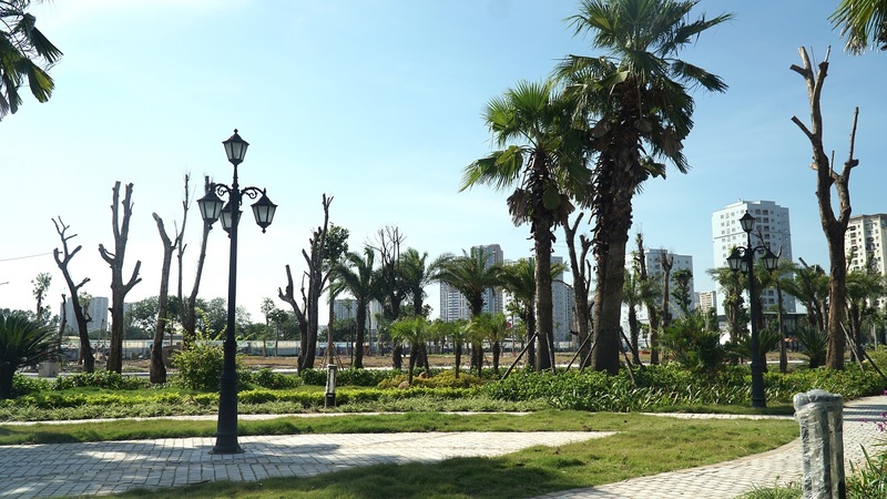 louis-city-hoang-mai-anh-thuc-te-4
